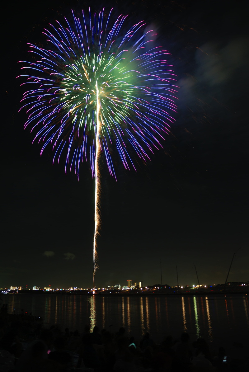 firework - Man Made Object, purple, burst, exploding, glowing, event, 4K, multi Colored, outdoors, no people, motion, light, traditional Festival, sky