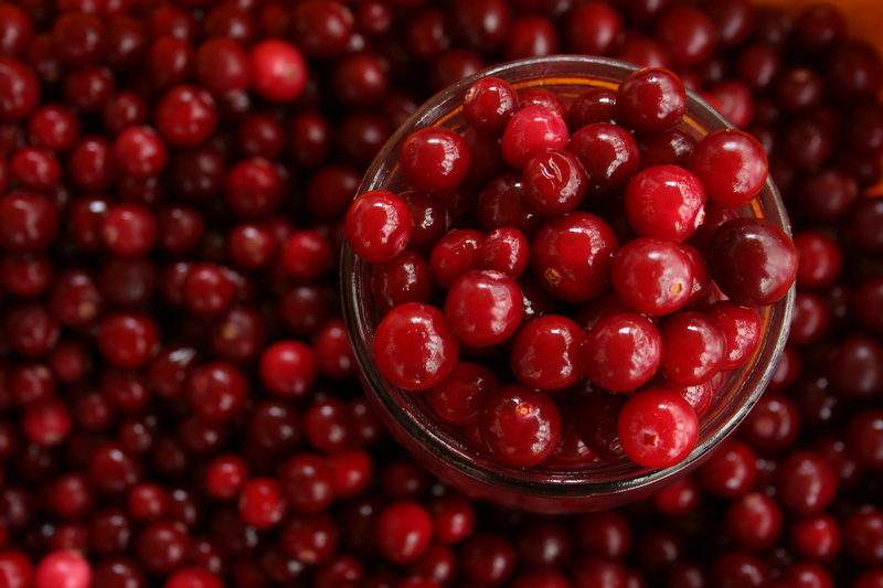 full, 2K, macro, nature, ripe, pomegranate seed, freshness, healthy Eating, red, fruit, pomegranate, thanksgiving, healthy lifestyle, berry Fruit, abundance