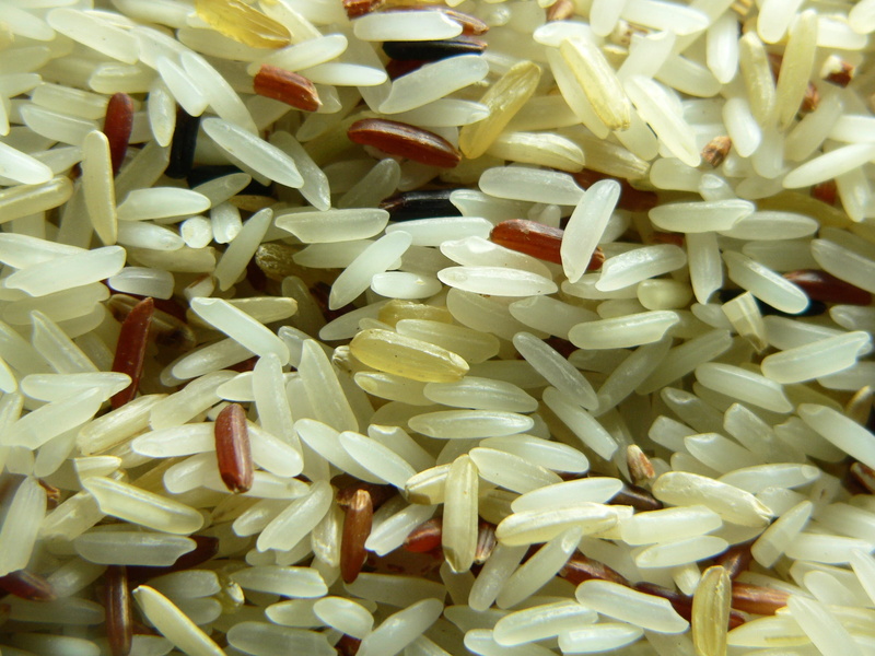 raw Food, organic, still life, wellbeing, nature, Rice, Plant, indoors, backgrounds, no people, food, vegetable, nutrition, harvest, abundance, ready-to-eat