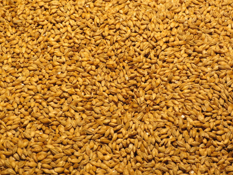 Barley, beer, pint, full frame, barley, food And Drink, organic, cereal, yellow, healthy Eating, Beer, no people, ingredient, alcohol, malt, food, crop