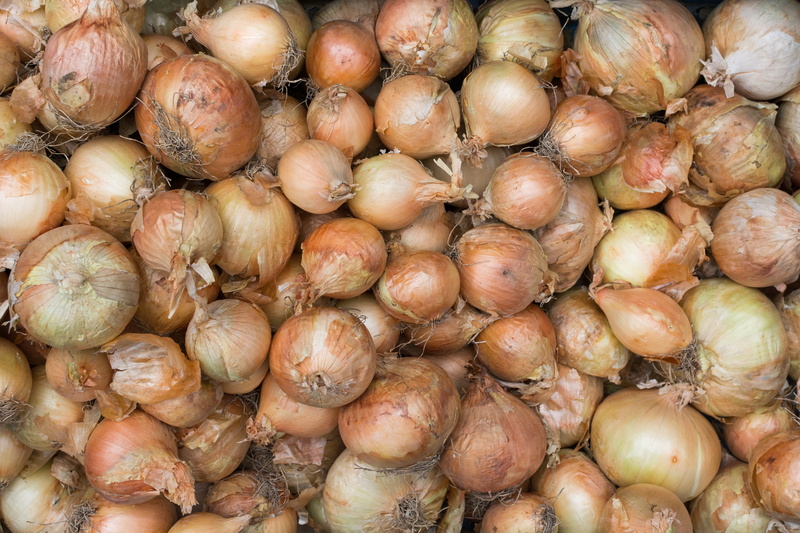 no people, high angle view, nature, food, abundance, filled frame, backgrounds, 5K, large group of animals, close-up, ingredient, wellbeing, market stall