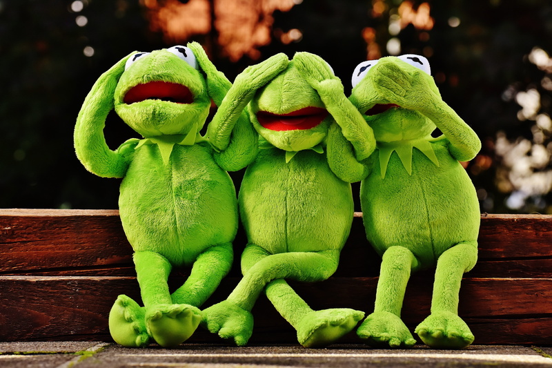 cute, fun, green color, frogs, freshness, stuffed animal, close-up, vegetable, three, wellbeing, not see, 5K, day, animal representation, representation