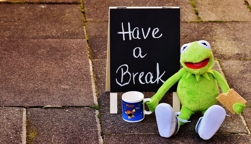 blackboard, text, 4K, close-up, frog, footpath, sign, message, representation, cup, alexas photos, cute, outdoors, coffee mugs, no people, stuffed animal