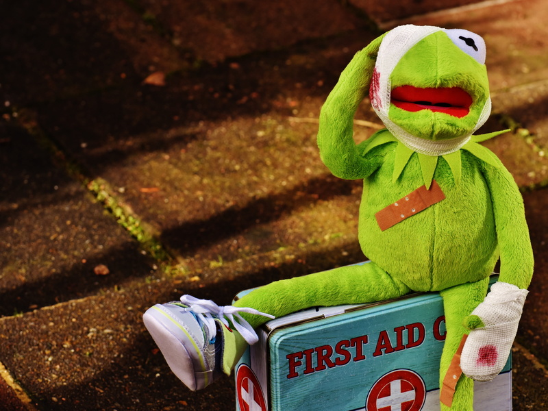funny, patch, outdoors, kit, toy, animal, cloth figure, container, sunlight, soft toy, western script, stuffed animal, figure, frog, art and craft, first aid