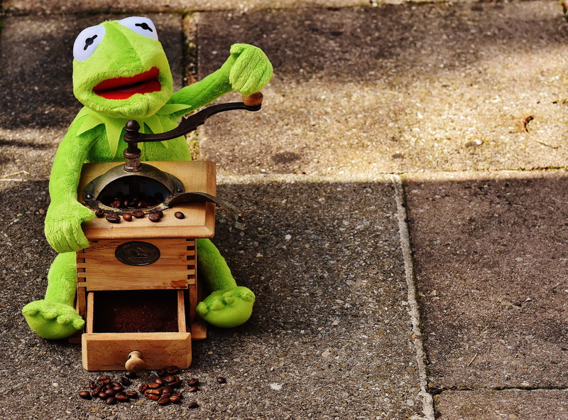 grind, figure, holding, soft toy, art and craft, creativity, green, coffee, craft, close-up, frog, grinder, high angle view, animal representation, toys