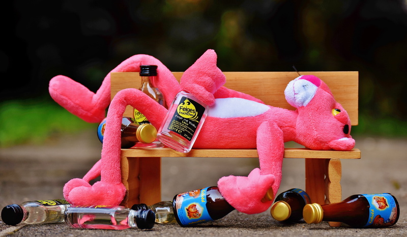 wood - material, panther, stuffed animal, lying, animal, stuffed toy, red, skateboard, focus on foreground, outdoors, multi colored, close-up, bench, bottles