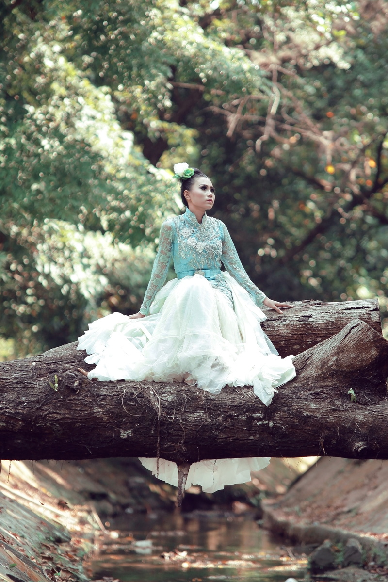 young adult, trunk, leaf, one person, real people, green forest, young, blue, sitting, white, water, day, tree, hairstyle, long, land, wedding dress, dress
