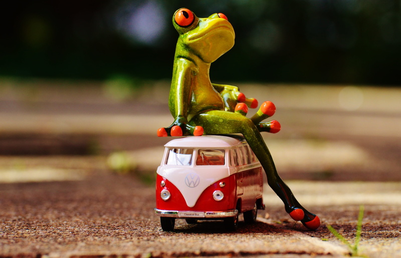 frog, animal, cute, creativity, camping bus, sitting, die, white, fun, green, vw bus, figurine, funny, vehicle, transportation, ground, close-up, auto