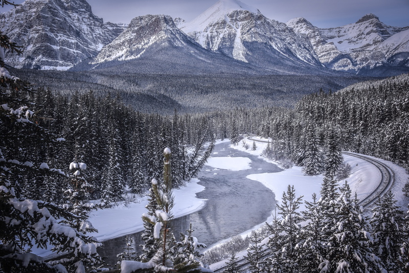 pine tree, snowcapped mountain, season, tranquil scene, land, scenics - nature, coniferous tree, day, mountain, ice, nature, abies, winter, trees, 5K