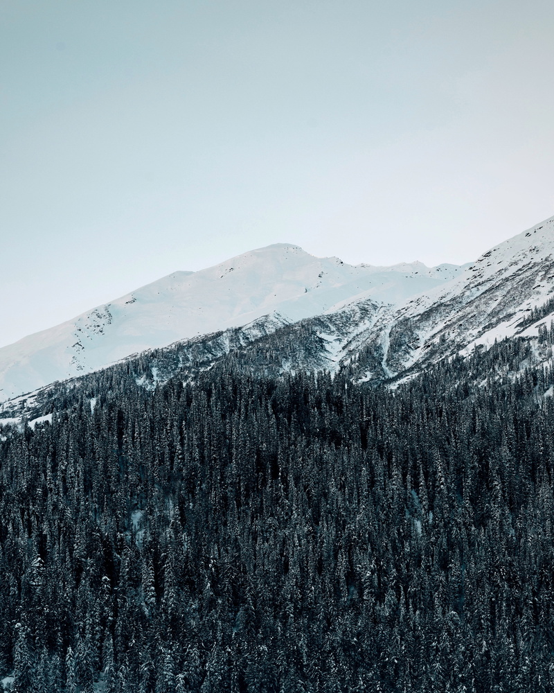sky, scenics - nature, beauty in nature, kasol, 4K, plant, india, peak, trees, tranquility, fir, outdoors, tranquil scene, pine, landscape, minimal, coniferous tree