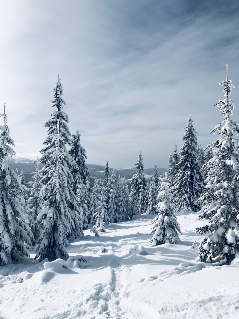 tranquil scene, unnamed road, winter, tranquility, romania, snowcapped mountain, outdoors, fir, love, sky, land, white color, no people, tree, magic, covering