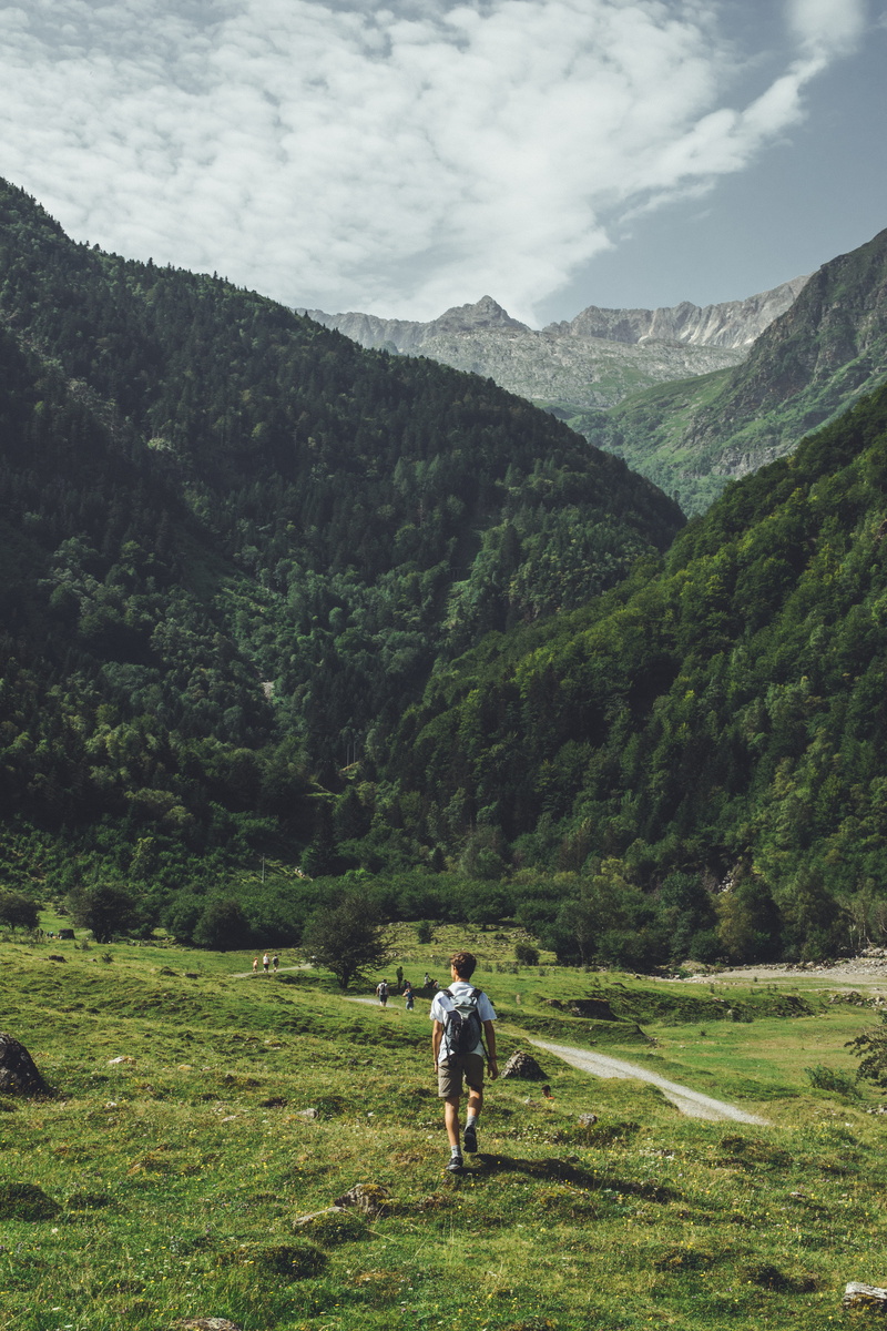 idyllic, non-urban scene, field, abies, land, plant, rural, beauty in nature, person, slope, man, mountain, outdoors, fir, human, leisure activity, valley