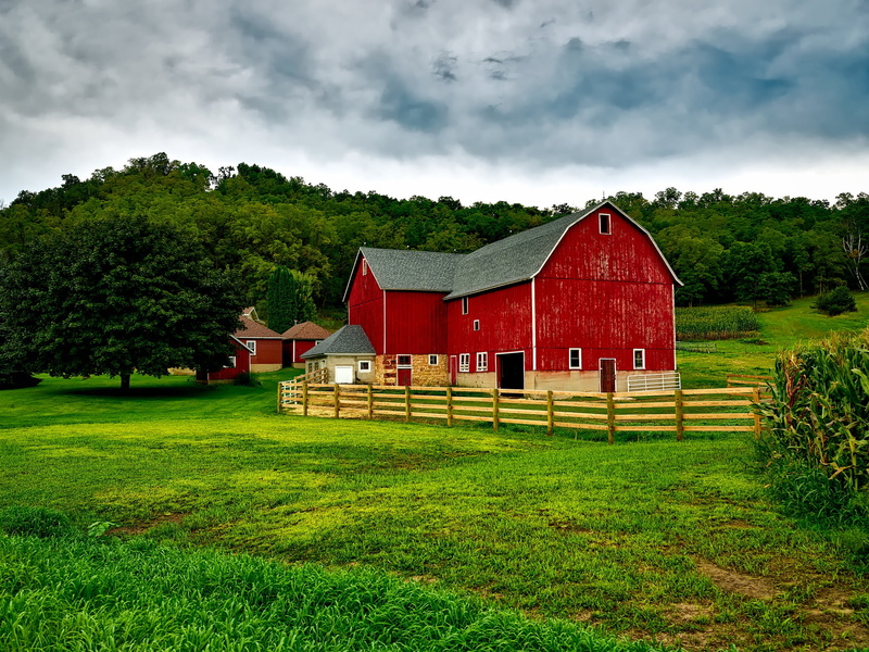 outdoors, daytime, agricultural building, building, sky, nature, clouds, day, hdr, field, green color, grass, wooden, plant, near, barn, woods, country