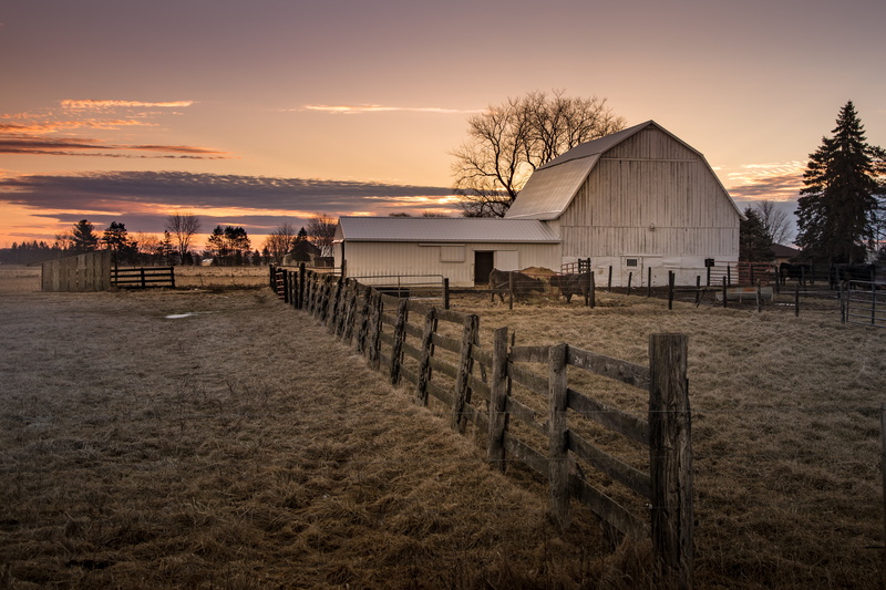 clouds, cows, scene, morning, sunset, sunrise, mid-michigan, Canon EOS 5D Mark IV, outdoors, farm, rural Scene, 4K, brown, amanecer, barn, winter, wood - Material