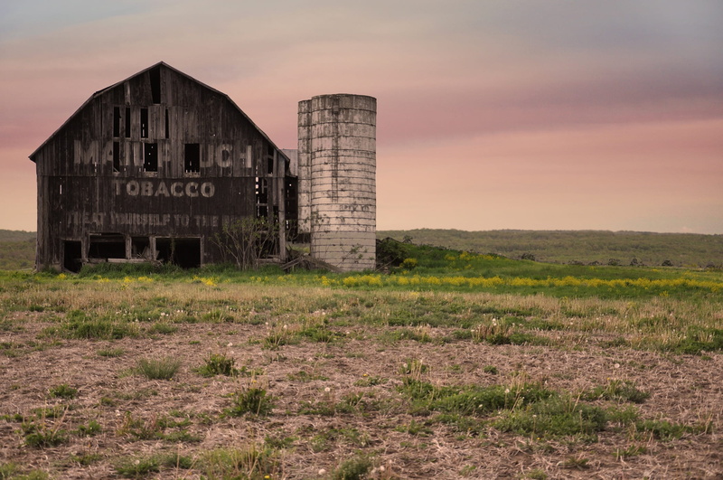 built Structure, Mail Pouch Tobacco, Barn, abandoned, obsolete, western, non-urban scene, architecture, ruined, old, 1080P, the past, weathered, history