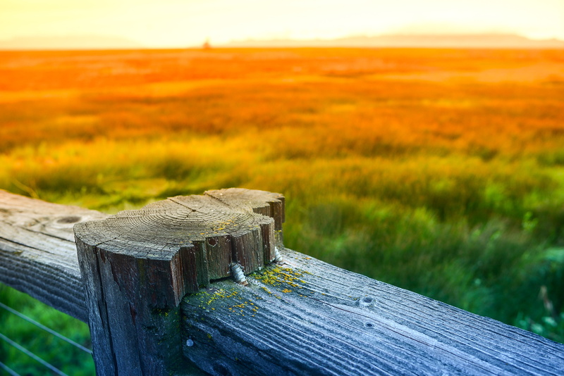 attribution license, stock photo, D610, prime, nikon, grass, creative commons, image, nature, rural Scene, green, orange, fence, pro bono publico, filter