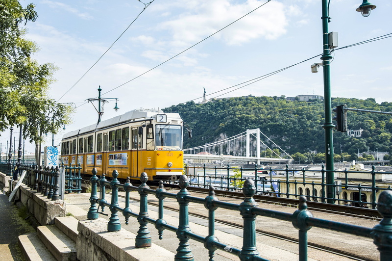 plant, transport, vehicle, urban, nature, electricity, mode of transportation, built structure, yellow, railing, tram, transportation, cable car, track
