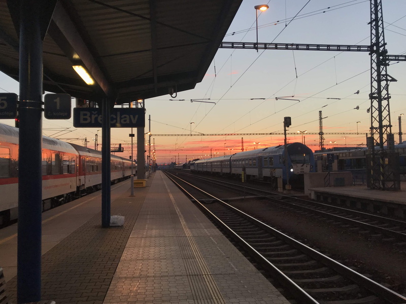 sunset light, ceiling, train station, public transportation, the way forward, vehicle, sunrise, railroad track, sidewalk, railway, path, pink, travel, pavement