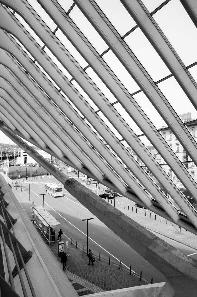 Liège, men, rail transportation, incidental people, indoors, building, Architecture, transport, glass, bus, crowd, lines, built structure, santiago calatrava