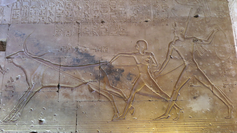 wall, ramses, 4K, built structure, close-up, set i, wall - building feature, pattern, day, carving - craft product, full frame, ritual, bull, cosmology