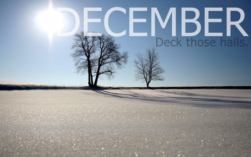 road, cold temperature, transportation, no people, tree, information, 1080P, sign, text, month, snow, day, typography, sky, Sun, frozen, western script