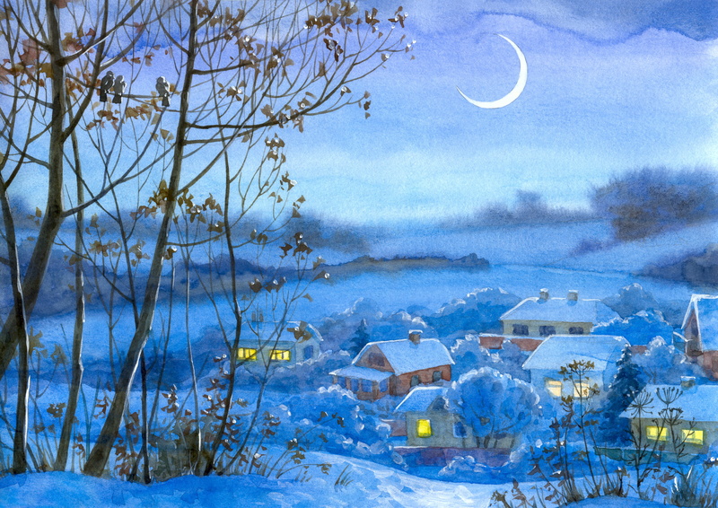 tranquil Scene, day, cold temperature, scenics - nature, rural Scene, wood - Material, forest, nature, christmas, home, beauty In Nature, 5K, moon, village
