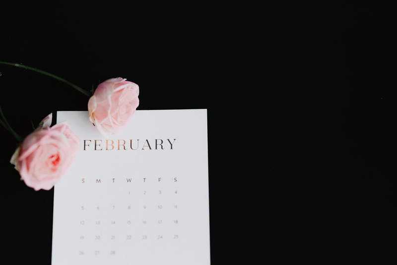 lovely, pink rose, people, love letter, s, close-up, emotion, text, rose, 4K, month, hand, positive emotion, february, valentines day - holiday, paper