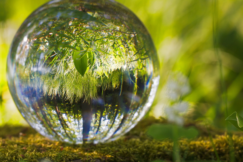 global, spherical, abstract, bubble, tree, selective focus, no people, nature, green color, day, bright, outdoors, 5K, ball, light, moss, planet, earth