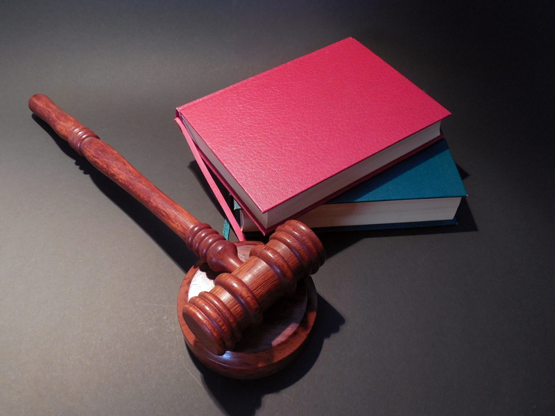 right, judgment, justice, wood - material, clause, pink, copy space, book, studio shot, auctioneer, publication, red, document, gavel, high angle view