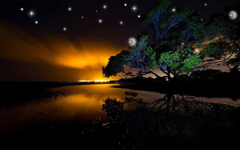 sunset, tree, 1080P, starry, night, 3d and abstract, reflection, twinkle, sparkle, river