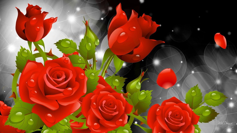 twinkle, fabulous, marvelous, sensational, eye-opening, wondrous, red, flowers, emotiona, astounding, 1080P