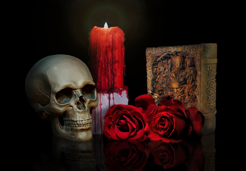 indoors, rose - flower, human skull, spirituality, flower, book, religion, still life, skull, flowering plant, close-up, burning, gray, rose, human skeleton
