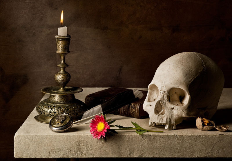 Book, old, flame, burning, backgrounds, human skeleton, plant, Skull, history, still life, Candle, close-up, wood - Material, bone, old-fashioned, decoration