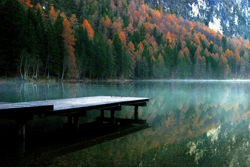 tranquility, park, beauty In Nature, idyllic, november, color, water, wooden, no people, dock, harvest, plant, lake, scenics - nature, gray, decoration
