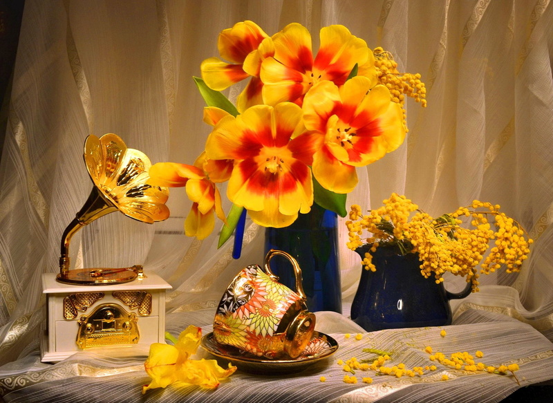 Yellow Flower, Photography, 1080P, Cup, Vase, Still Life, Flower, Gramophone, Tulip