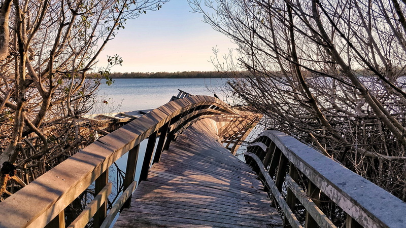 trees, wooden, wood - material, water, brown, warp, house, nature, 1080P, scenics - nature, bridge, tree, beauty in nature, sky, direction, tranquility