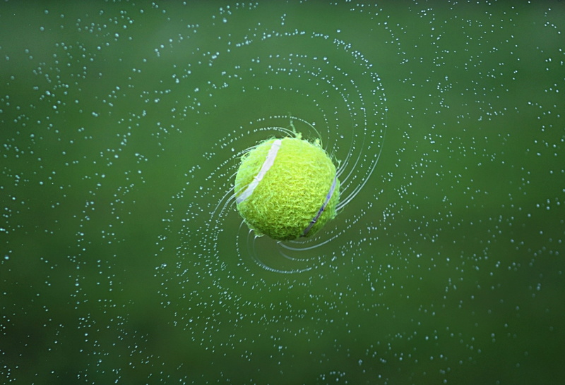 nature, leaf, galactic, universe, ball, water, macro, no people, floats, animal themes, day, sport, globe, close-up, galaxy, outdoors, raindrop, spider web