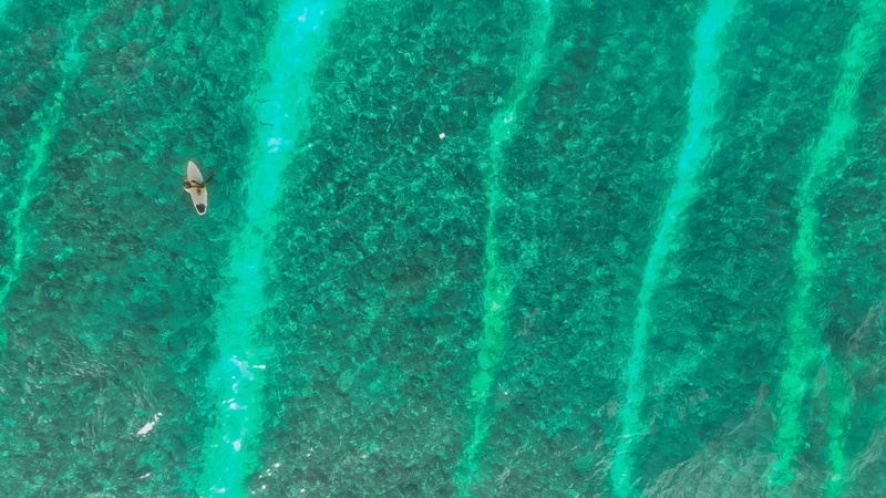 leisure activity, day, swimming, real people, water, sport, high angle view, turquoise colored, 4K, surfboards, outdoors, swimming pool, waterfront, unrecognizable person