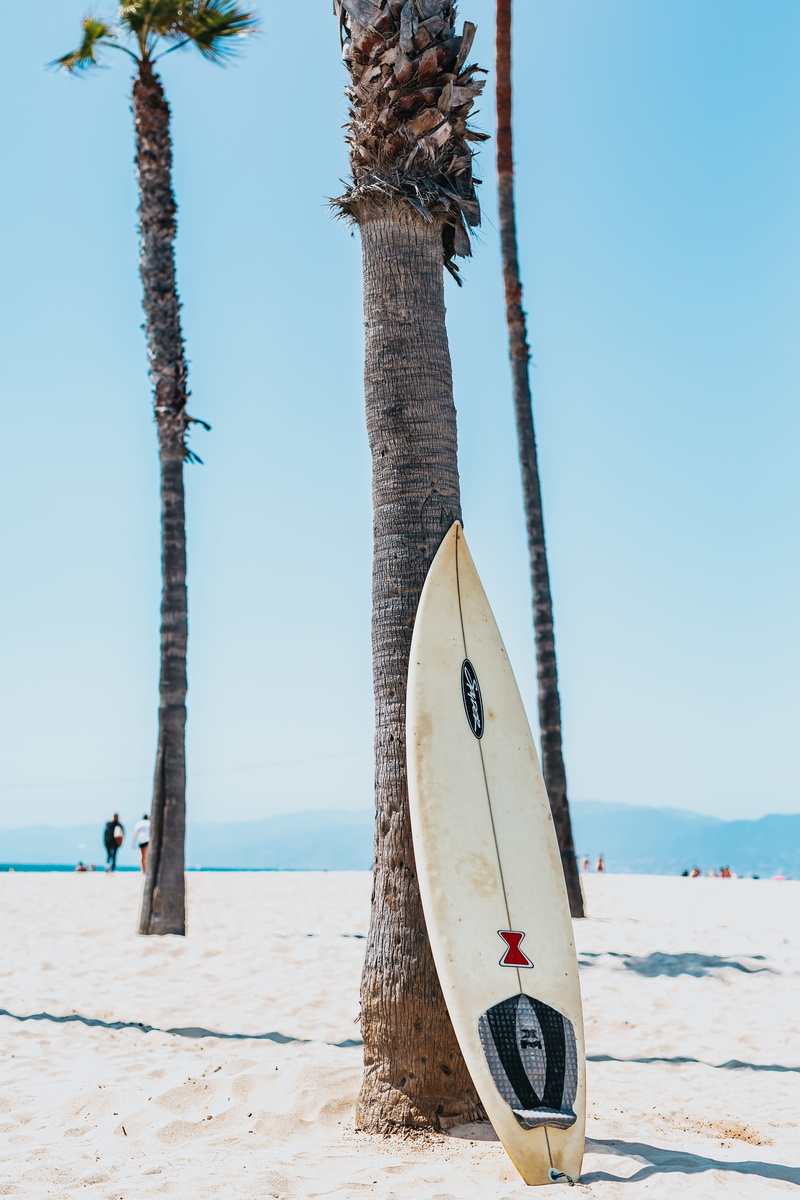 water, land, leaning, beauty in nature, surfer, la, no people, plant, beach, tranquil scene, californium, palm, hang loose, sea, sky, palm tree, los angeles