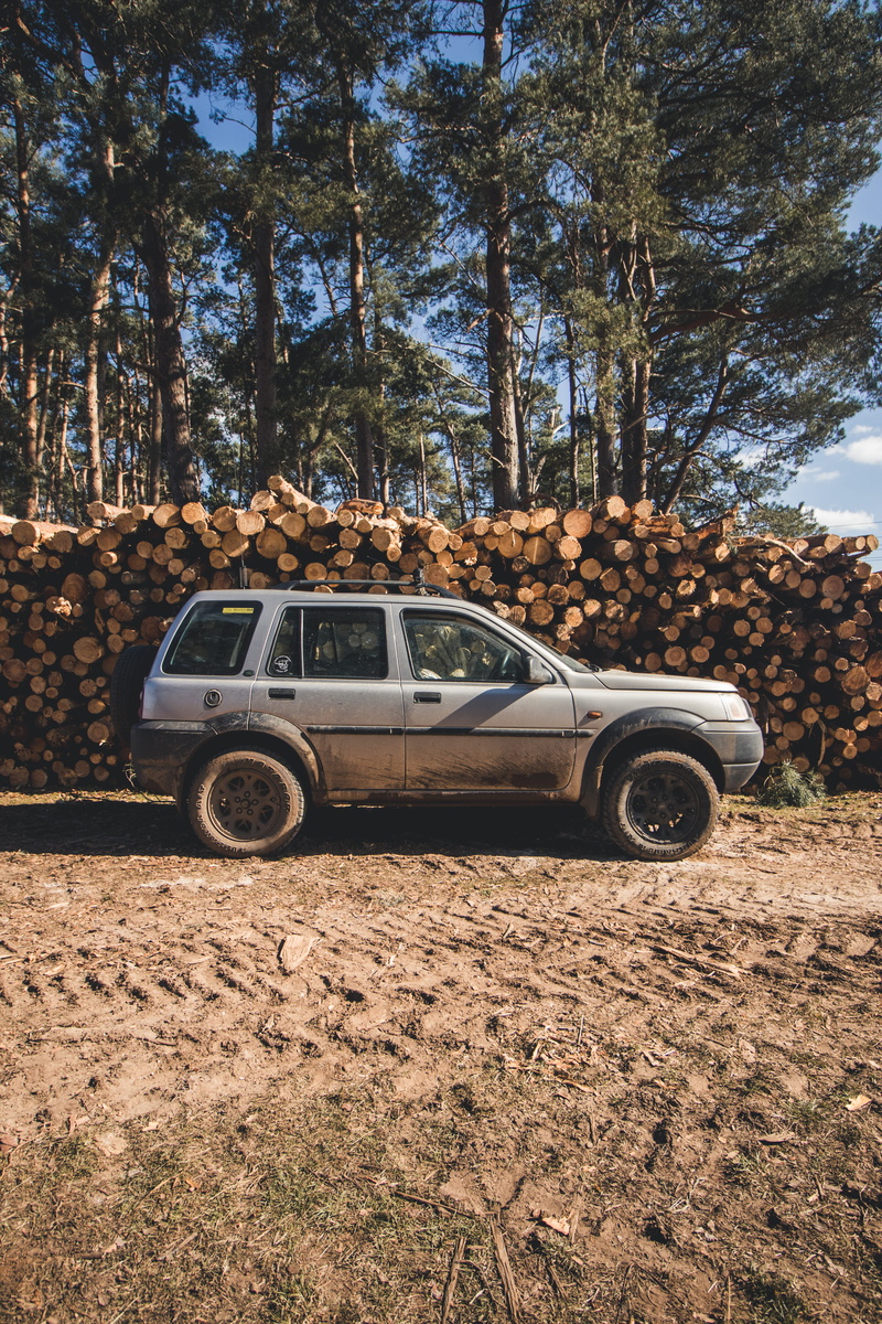 offroad, mode of transportation, land, pickup truck, machine, plant, spoke, car, rover, suv, day, truck, forest, sunlight, no people, lander, pile, automobile