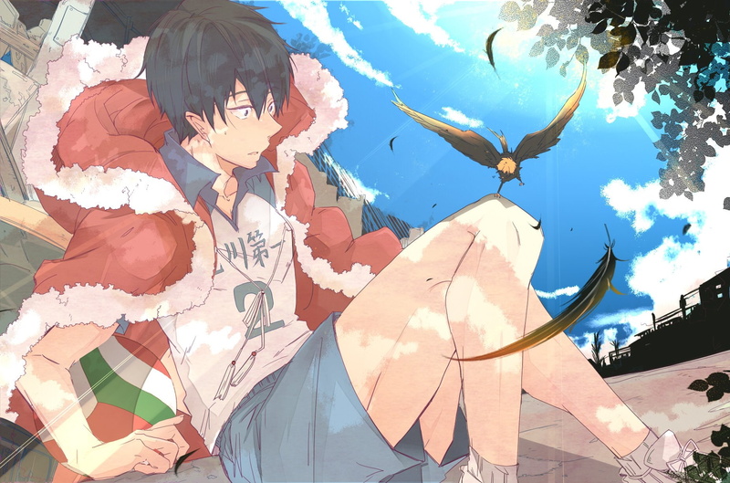 haikyuu, 720P, kageyama, tobio