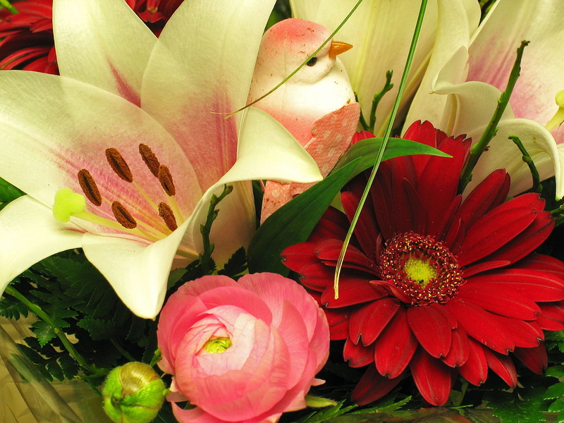 bloom, greeting, growth, mothers day, petal, gratitude, three, plant, welcome, 1080P, spring bouquet, flower head, gift, bouquet, cut flowers, gerbera