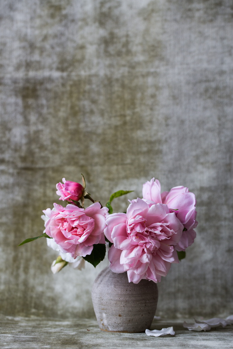 wood - material, flowers, pink color, spring, close-up, decoration, vulnerability, cherry blossom, bunch of flowers, nature, freshness, gray, rose, flower arrangement