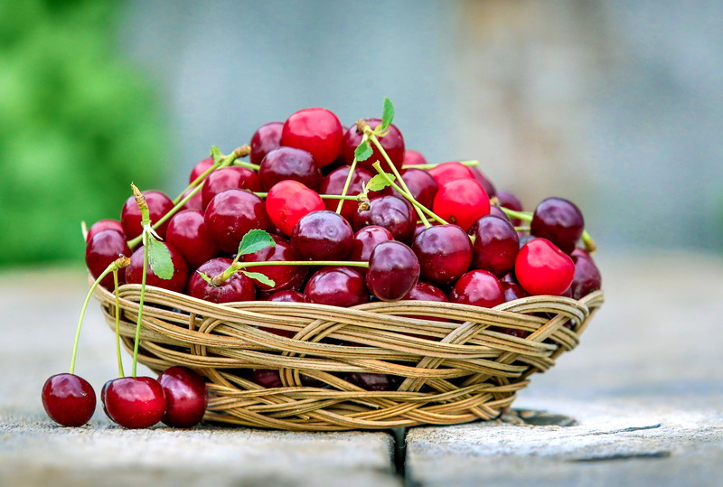 healthy Eating, Gifts, food, berries, nature, bowl, 5K, harvest, cherry, organic, freshness, bunch, cherry  red, white, summer, fruit, basket, red, ripe
