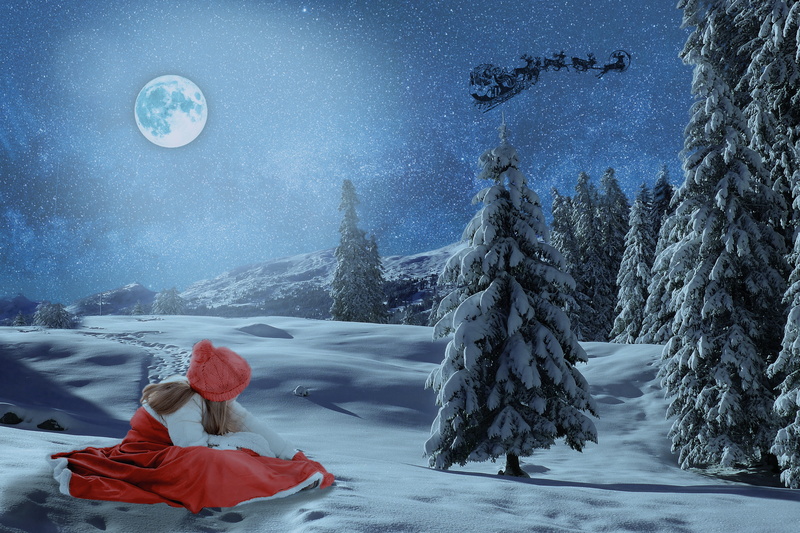 women, slide, christmas time, full moon, dress, snowing, screenshot, greeting card, warm clothing, winter, christmas, starry sky, christmas motif, night