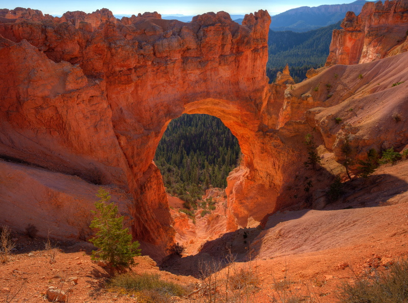 unitedstates, day, Destination, Trip, no people, idyllic, Bridge, arch, United States, scenics - nature, Travel, tranquil scene, canyon, rock formation