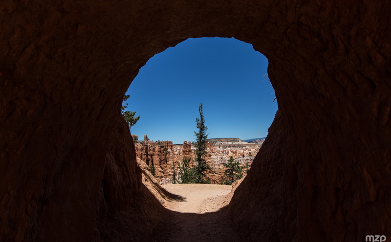 hoodoos, Yosemite, tree, Utah, clear sky, the past, nationalmonument, West, tourism, rockformations, IUCN, outdoors, national, solid, built structure, day