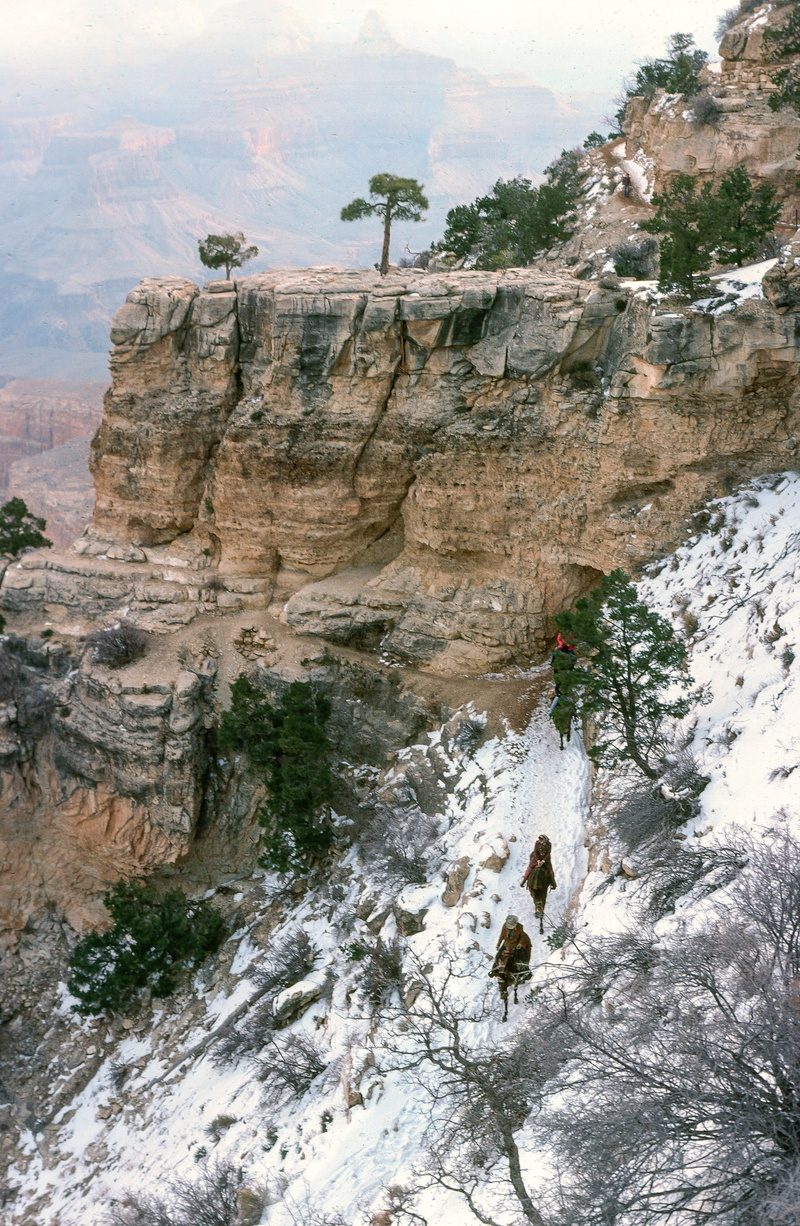 rim, trailhead, land, white, arizona, clouds, wilderness, hike, southwest, non-urban scene, tunnel, natural, scenics - nature, rock - object, grand, tree