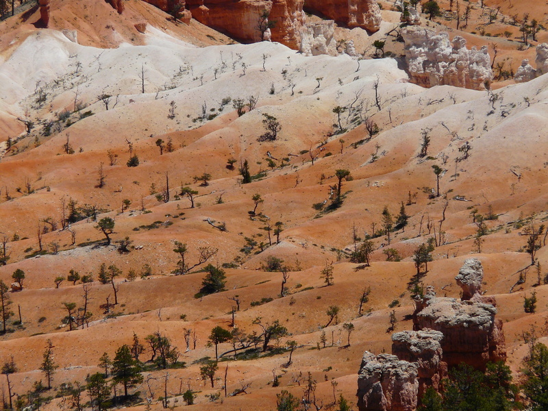 formation, nature, paunsaugunt, beauty in nature, Bryce Canyon National Park, climate, national, bryce canyon, national park, desert, eroded, dry, environment