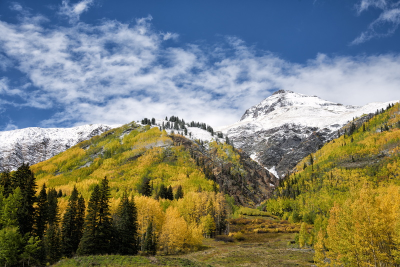 tree, white, sky, scenics, Leaves, snow mountain, blue sky, landscape, forest, fall foliage, snow, near, Colorado, US550, blue, autumn, mountain, Aspen